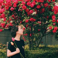 头像女图片拿着花的 图片 4