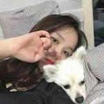 小羊头像图片真实 图片 1