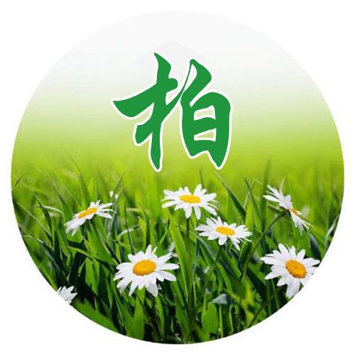姓氏头像周氏 图片 5